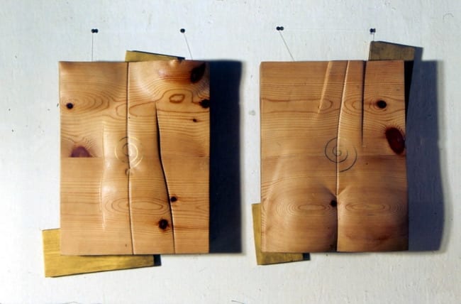"EESTVAADE-TAGANTVAADE" 1994 puu  <br />"FROM FRONT AND BACK" 1994 wood